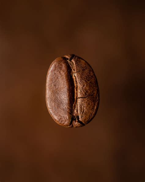 The real difference between light medium and dark roast coffee – Artofit