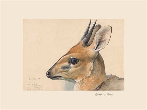 World History Duiker 7th Edition Volume 1 1