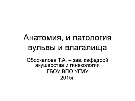 Анатомия и патология вульвы и влагалища - презентация онлайн