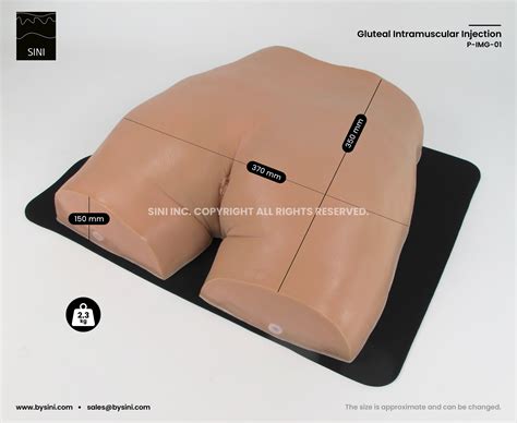 Gluteal Intramuscular Injection - SINI Medical Simulation