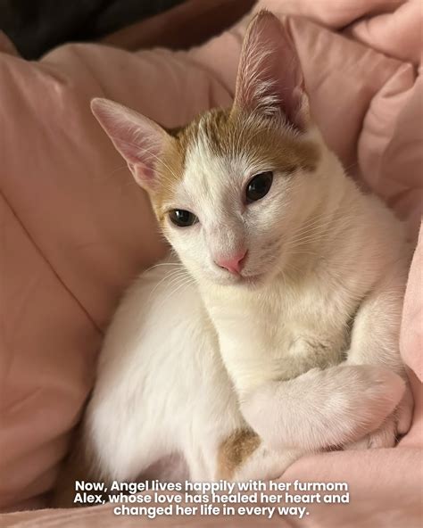 Loyal listeners share how the k-love station changed their lives 31