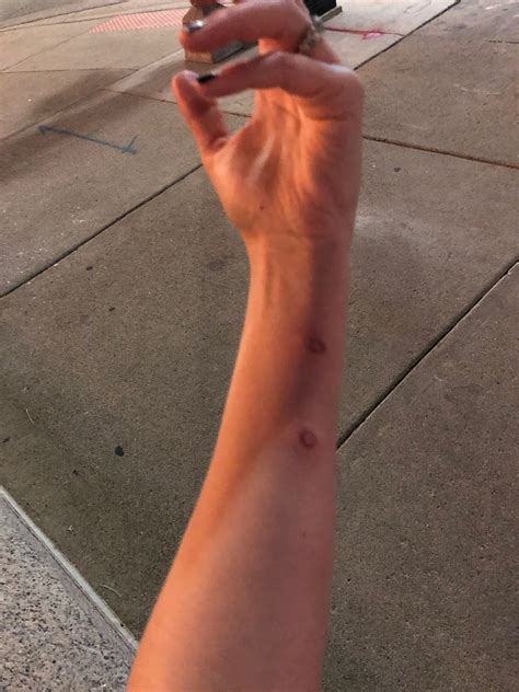 Michigan Obituaries, News and Local Event Coverage on Mlive 9