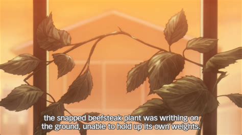 honey  clover broken stem patchiemollie