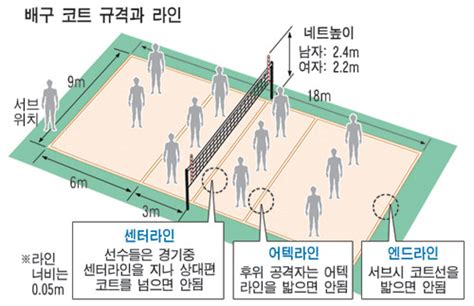 [하이큐] 배구 배경지식 1탄 (기본 + 코트 구성 + 경기 규칙) : 네이버 블로그