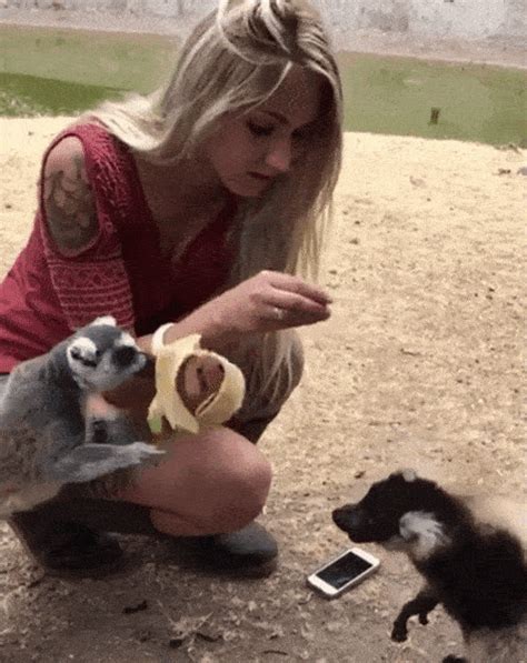 funniest gifs memes