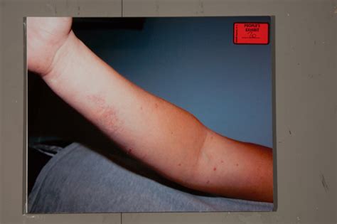 Tara Lintz Photo Evidence Warning: Graphic Pictures â€“ Coleman Murder ...