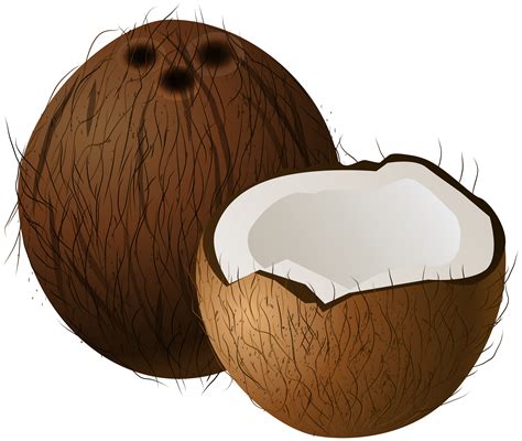 royalty  coconut cartoon clip art vector images