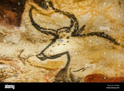 Prehistoric cave paintings of auroch (now extinct wild bull), Lascaux ...