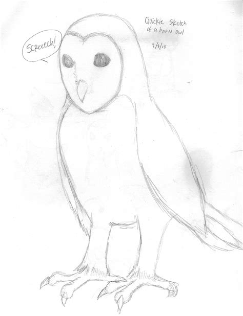 Quickie Owl by Ainslee-The-Hermit on DeviantArt