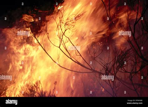 fire natural phenomena  res stock photography  images alamy