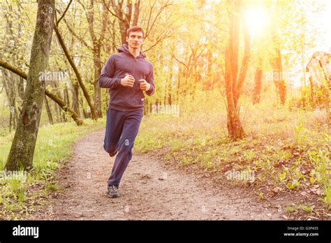 man jogging  sunrise  res stock photography  images alamy