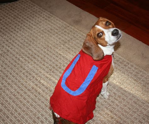 Underdog Dog Costume