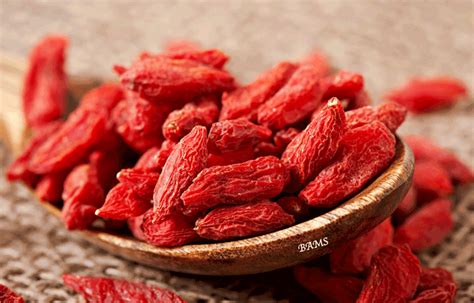 manfaat goji berry  kesehatan bams