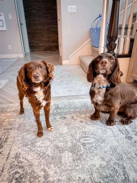 Commuters vent over croton harmon train station elevator failures 22