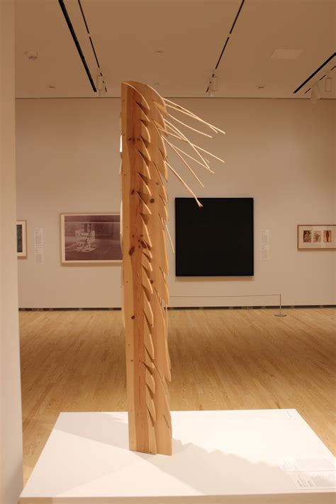UIowa Elms: Celebrating the Art and Science Behind Iowa's Iconic Trees 4