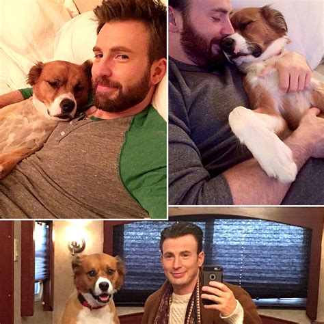 What Breed Is Chris Evans Dog Dodger