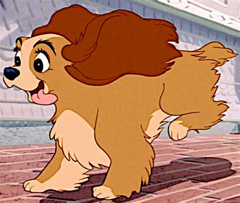 Lady - Disney's Lady and the Tramp Photo (41181474) - Fanpop