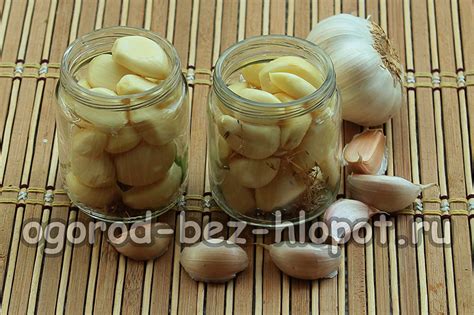 Маринованный чеснок на зиму зубчиками, рецепт без стерилизации