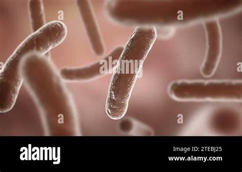 Bacteria seen by electron microscope. HD Stock Video Footage - Alamy