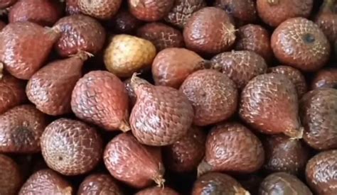 10 Buah Asli Indonesia yang Sudah Mulai Terlupakan, Apakah Ada yang ...