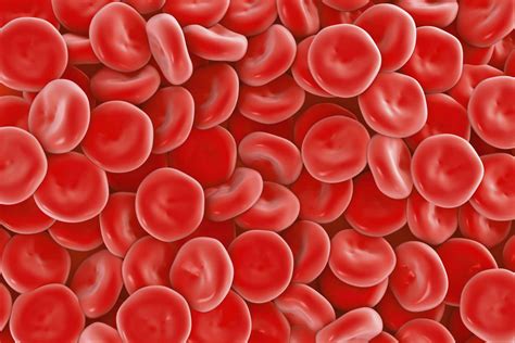 Diseases That Cause Low Red Blood Count | 2bstronger.com