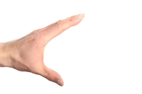 hand hand point white isolated  male png transparent image