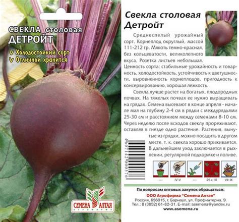 Свекла Детройт: характеристика и описание сорта, фото, отзывы ...