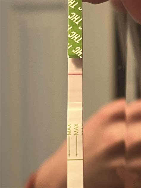 Our Guide Explains How To Properly Use A Walgreens Weed Test And How To Interpret The Results Correctly Today 11