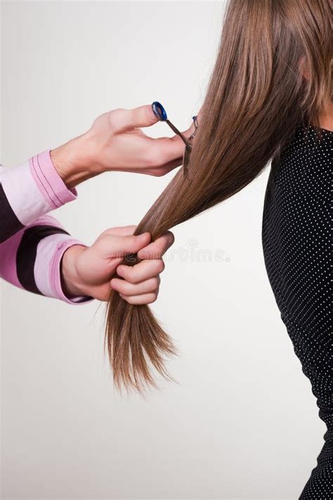 close haircut stock image image  lady profession