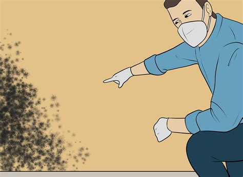 how to clean black mold off of walls