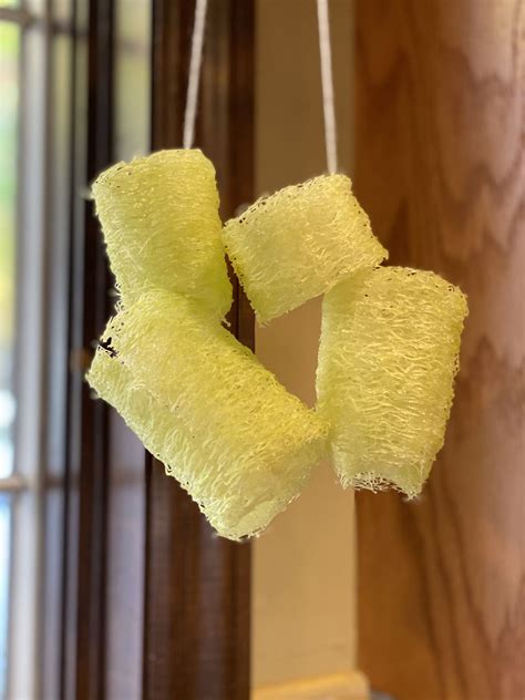 Bus terminal Edinburgh facility upgrades are causing temporary chaos 23