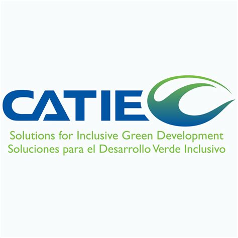 Consultoría para estudio de mercados y análisis de datos – CATIE