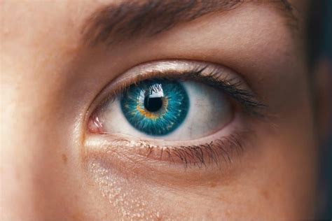 eye vitamins  work update top vision supplements reviewed