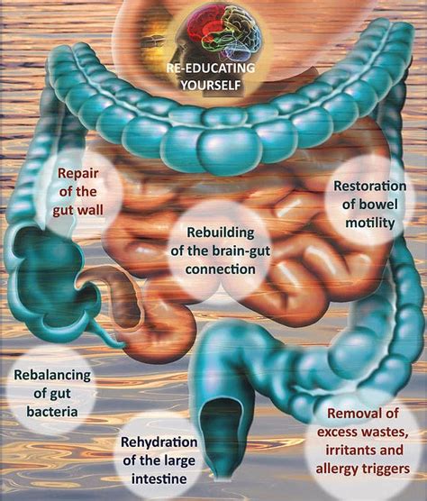 Real Stories Behind Mucoid Plaque Testimonials