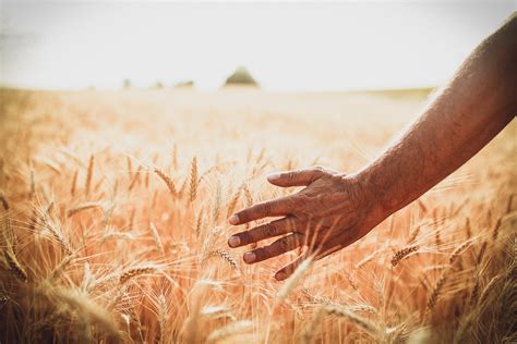 Na Superfície Terrestre Podemos Encontrar Apenas Um Tipo De Solo