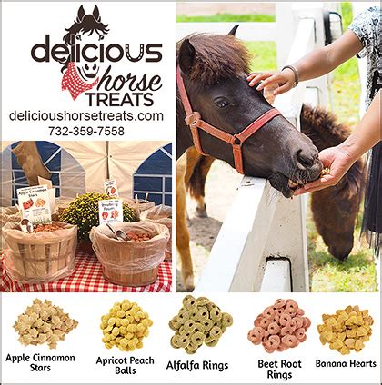 Horse Treats , Health Snacks for Horses