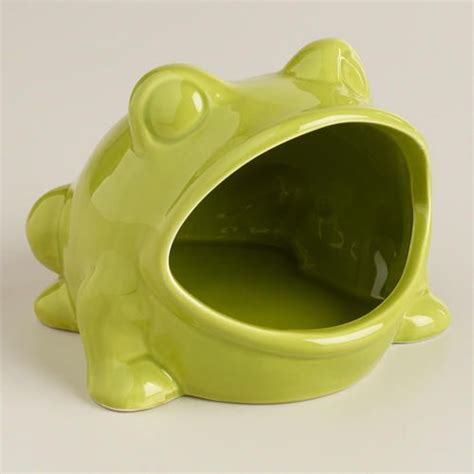 Green Frog Soap Dish | Ceramic soap dish, Shower accessories, Dish soap