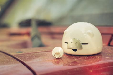 piggy bank      piggy bank stock  hd