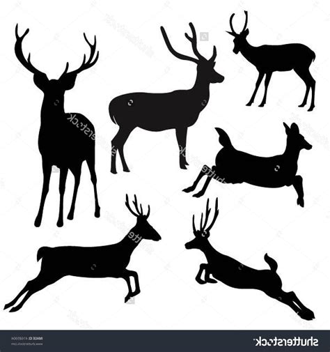 Deer species clipart 20 free Cliparts | Download images on Clipground 2024