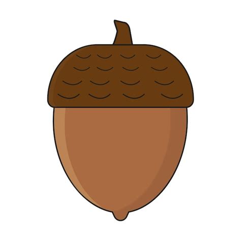 premium vector acorn clipart  flat style autumn  fall element