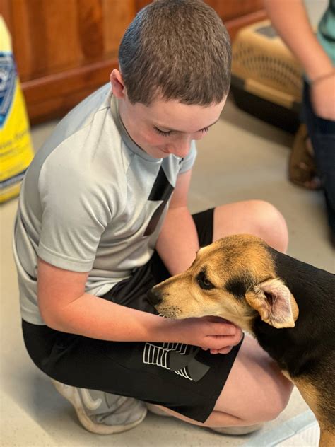 Huntington Cabell Wayne Animal Shelter | Huntington WV