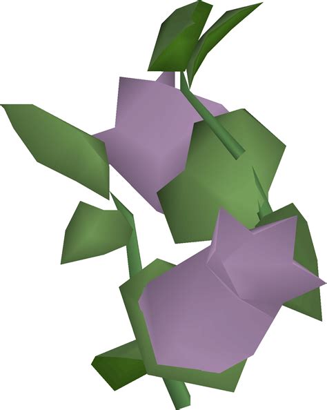 File:Nightshade 2 detail.png - OSRS Wiki