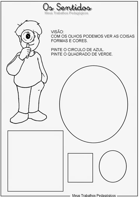 Atividades Os 5 Sentidos
