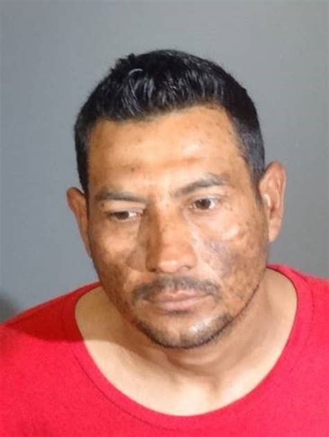 Police arrest man suspected of masturbating in front of woman in Bluff