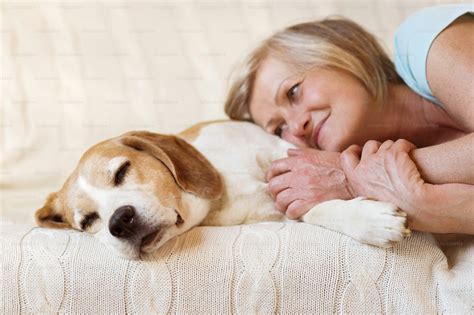 Mujer mayor con su perro dentro de su casa. foto – Imagen de Mascotas