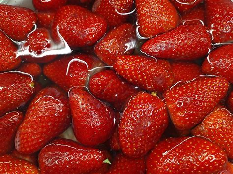 stroberi buah merah foto gratis  pixabay pixabay