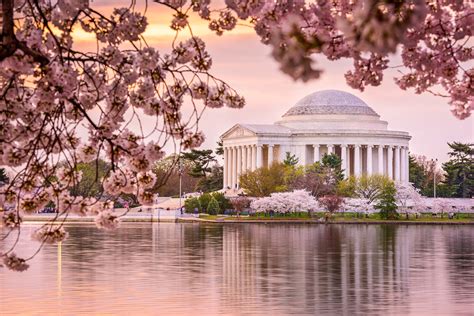 When and where to see the best cherry blossoms in the U.S. | National