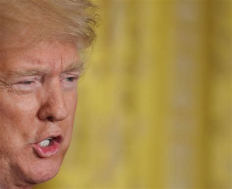 Trump and the White House have denied Russian collusion more than 140 ...