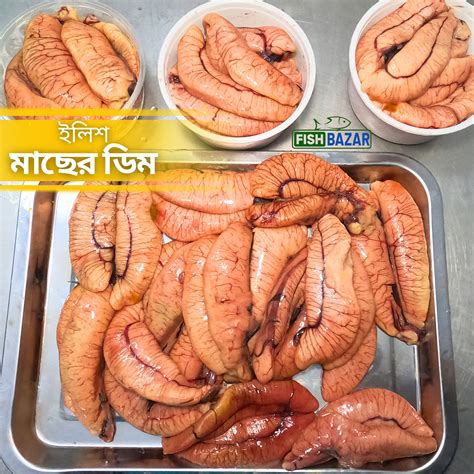 fish bazar dhaka