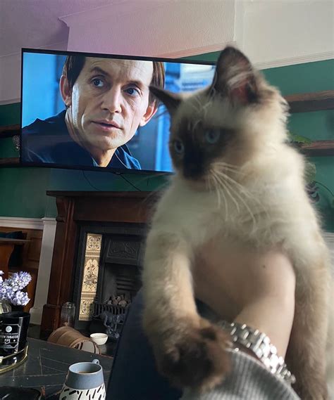 Chloe Sinclair 🧝🏼‍♀️ (@_chloesinclair_) / Twitter